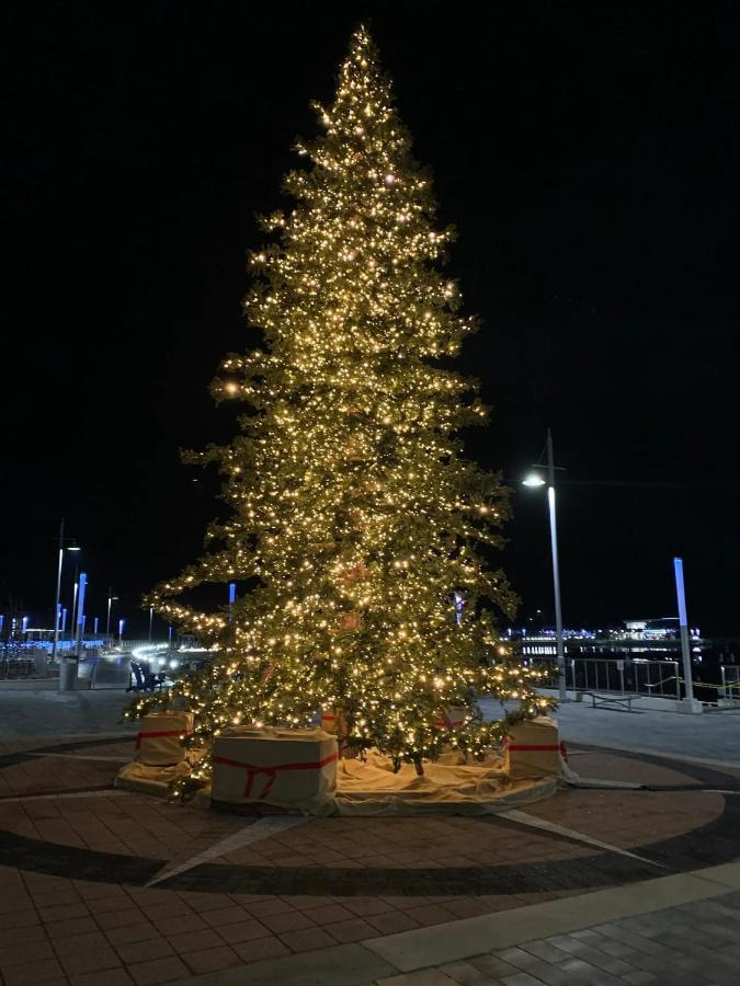 Pet Friendly Condos At Friday Harbour Innisfil Bagian luar foto