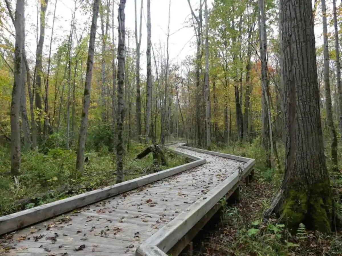 Pet Friendly Condos At Friday Harbour Innisfil Bagian luar foto