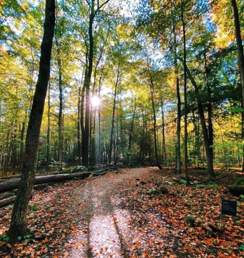 Pet Friendly Condos At Friday Harbour Innisfil Bagian luar foto